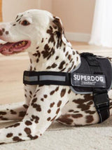 Dog Harness