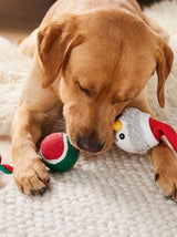 Christmas Dog Toy