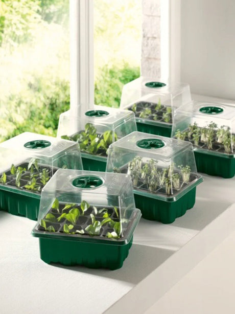 Seedbed Set