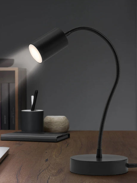 Led Desk Lamp