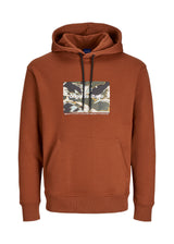 Men's Graphic Printed Hoodie,Brick