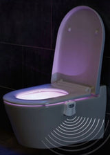 Led Toilet Lamp With Motion Sensor