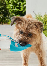 Dog Water Bottle