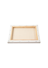 Mini Canvas Set