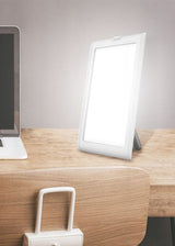 Daylight Lamp