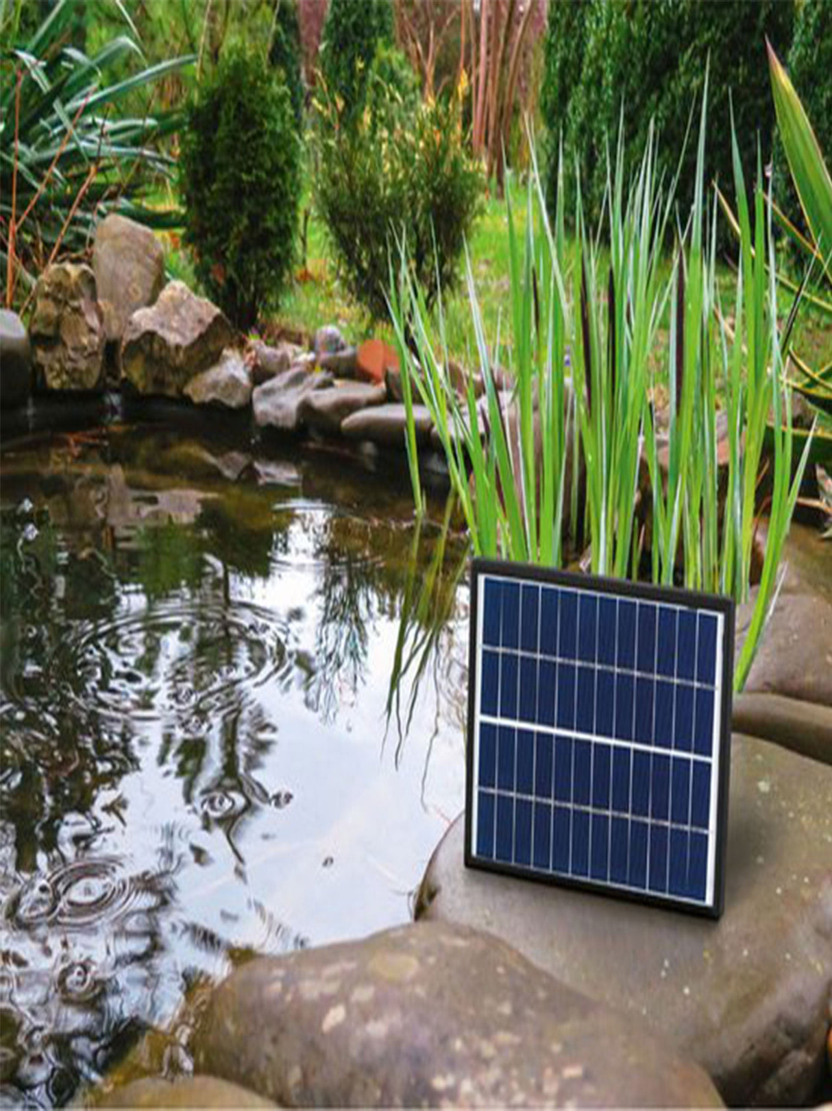 Solar Pound Fountain