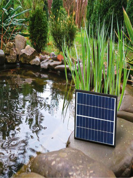 Solar Pound Fountain