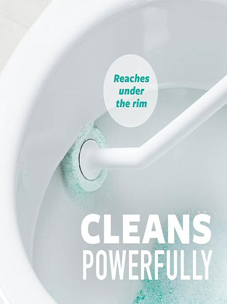 Toilet Cleaning