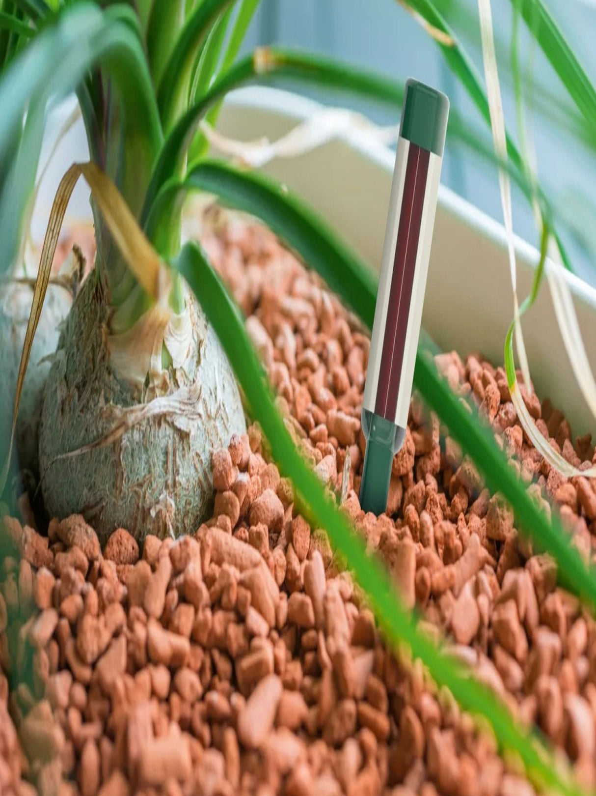Watering Indicator
