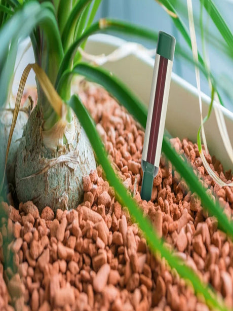 Watering Indicator