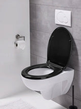Toilet Seat