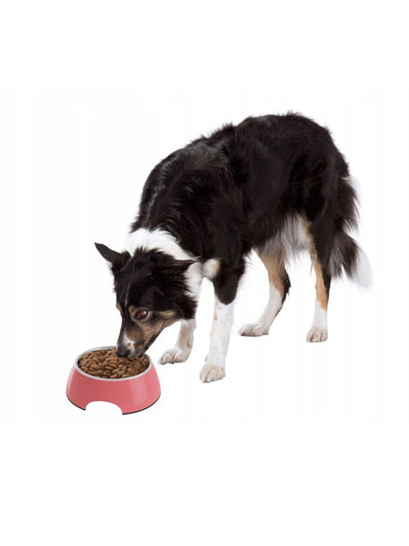 Large Bowl For Dogs And Cat
