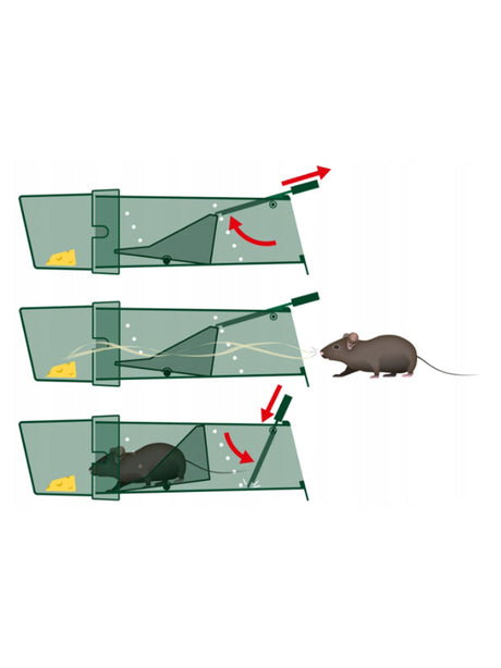Mouse Trap