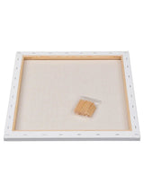 Canvas Set