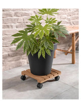 Flower Pot Stand