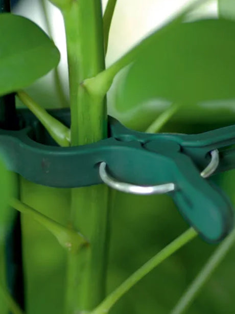 Plant Clips