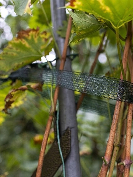 Gardening Tape