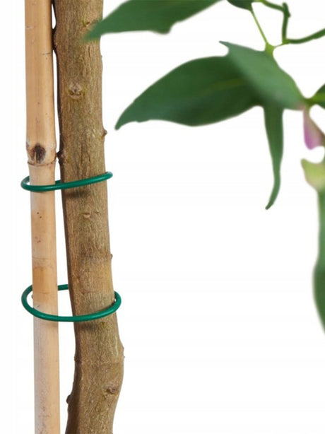 Binding Wire