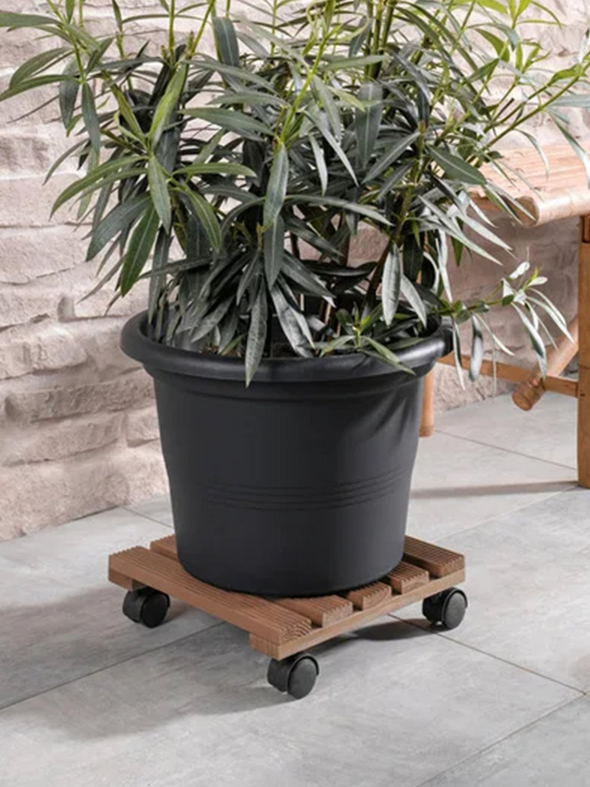 Plant Trolley