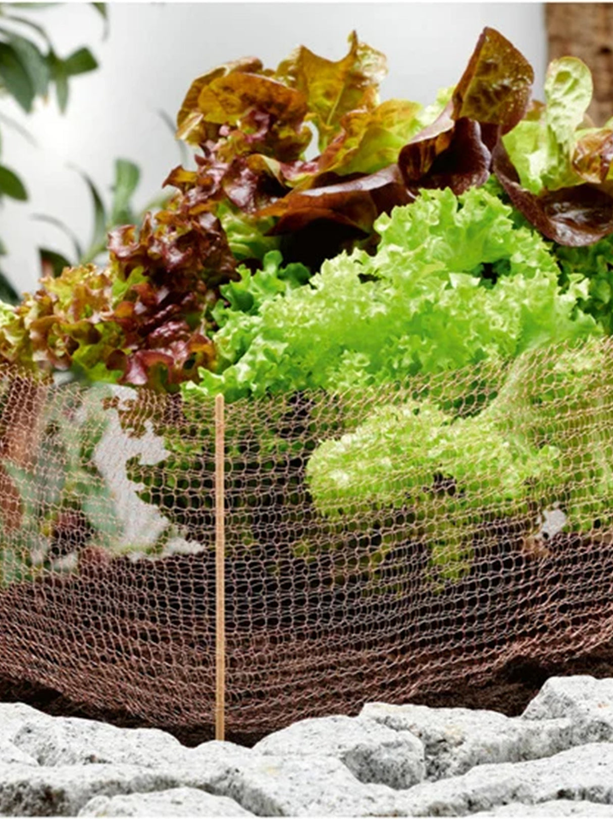 Copper Mesh
