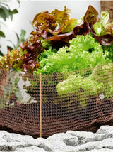 Copper Mesh