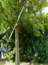 Cordless Branch Cutter