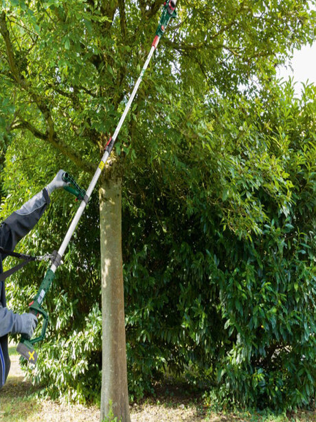 Cordless Branch Cutter