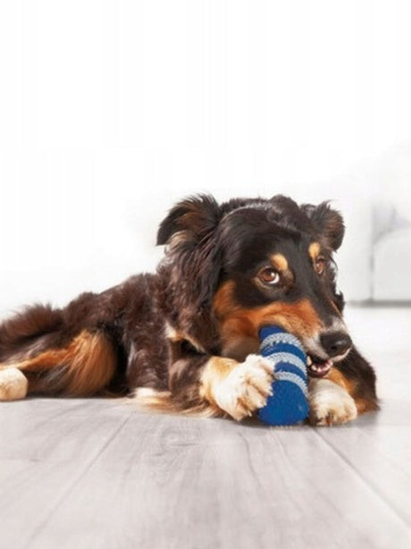 Dog Chew Toy