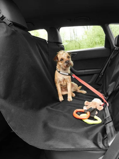 Protective Car Blanket