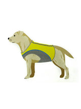 Cooling Vest For Dog