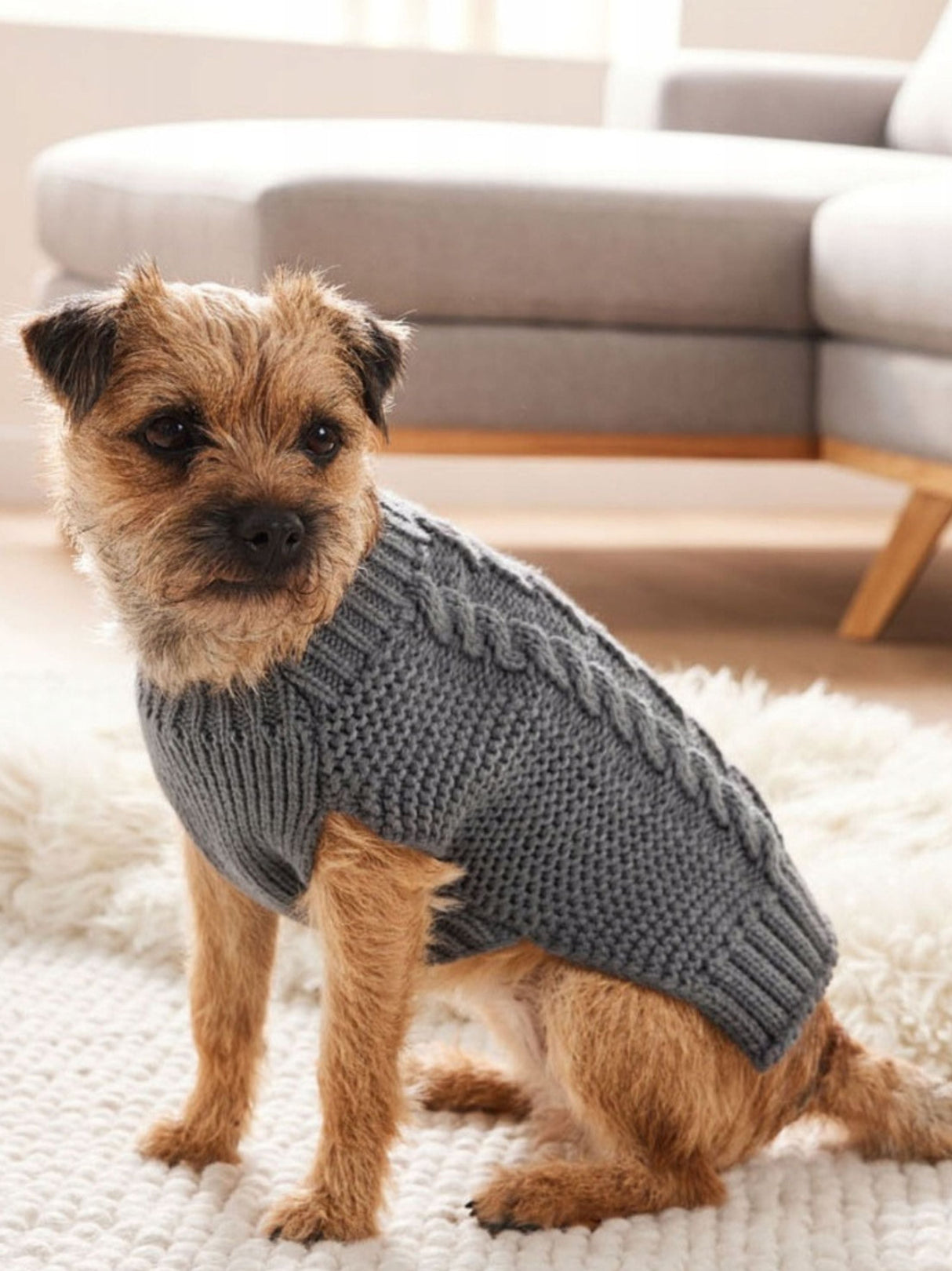 Dog Clothes Sweater
