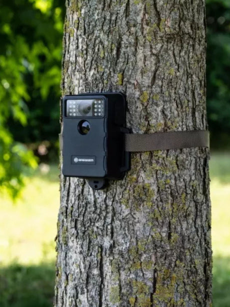 Wildlife Camera
