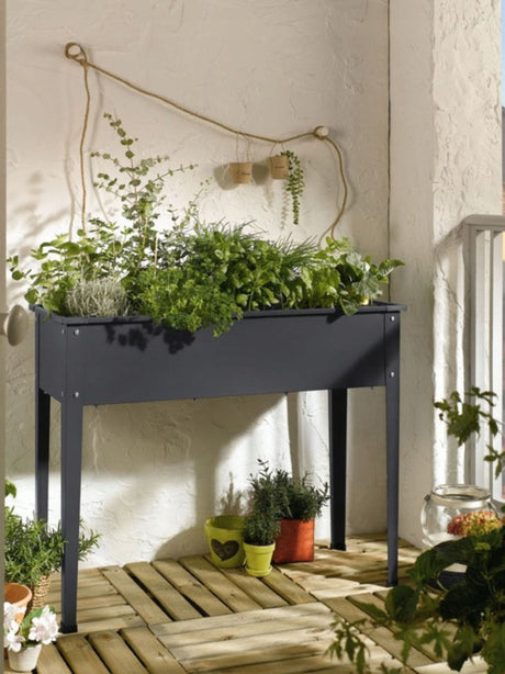 Raised Bed