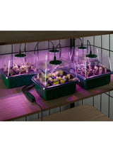 Led Growing Box Set