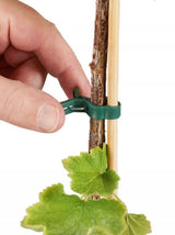 Plant Fastening Clips