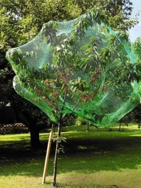 Garden Netting