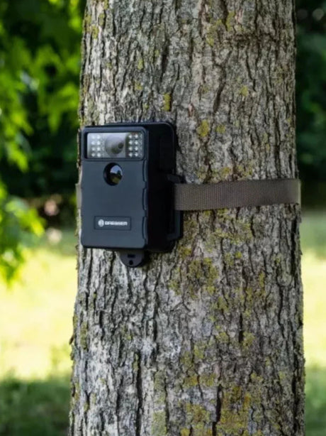 Wildlife Camera