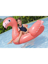 Inflatable Pool Toy