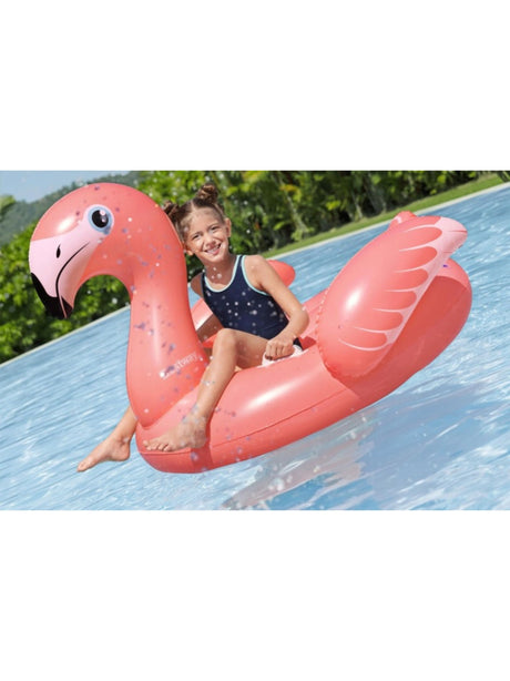 Inflatable Pool Toy