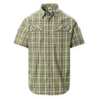 Image for Men's Plaid Dress Shirt, Olive