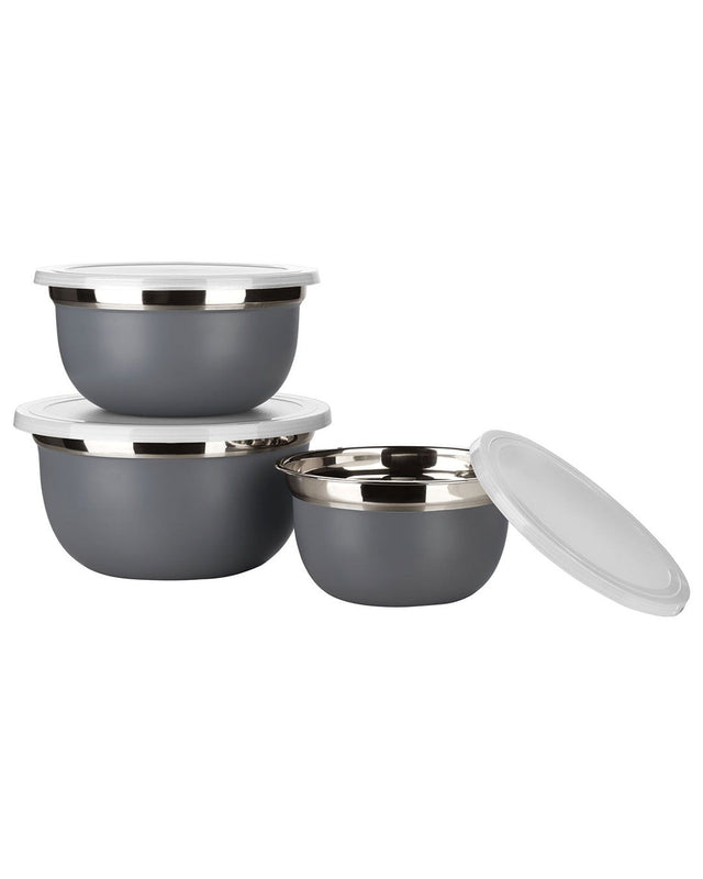 Image for Stainless Steel Bowl With Set Lid