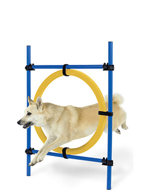 Image for Obstacle Dog Ring