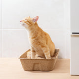 Disposable Litter Box