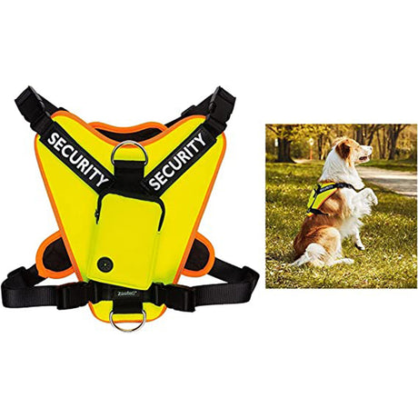 Harness